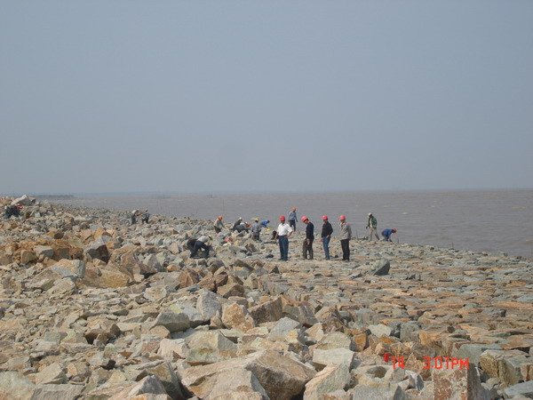 600×450