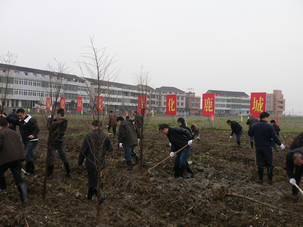 600×450