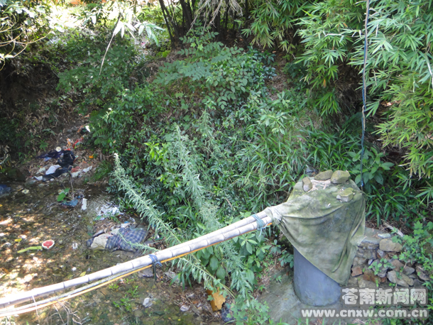 是基因变异还是环境影响？ 藻溪两幢房12户10人不幸患上癌症