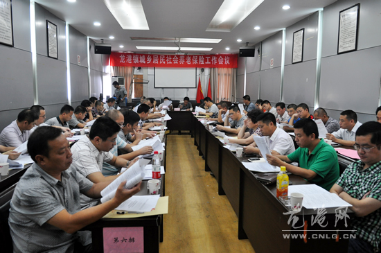 我镇召开龙港镇城乡居民社会养老保险工作会议
