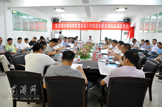 龙港镇召开村级组织设置改革推进会