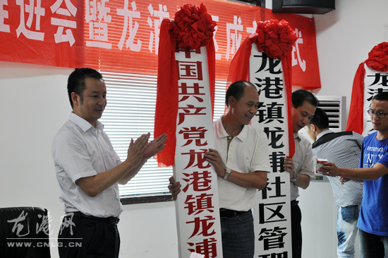 龙港镇召开村级组织设置改革推进会