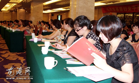 龙镇镇妇联召开半年度工作会议