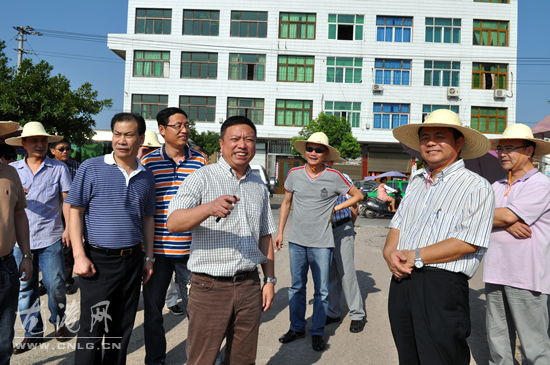 县人大常委会主任苏庆明督查龙港镇重点工程