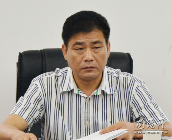 龙港镇人大视察我镇项目建设情况