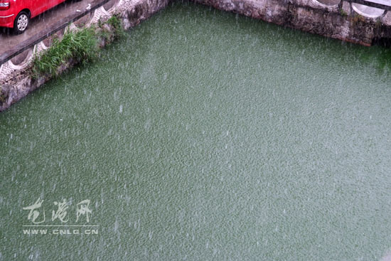 “南玛都”可能影响龙港  已经下起中到大雨