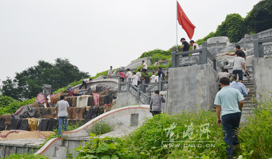 龙港镇积极打击青山白化现象
