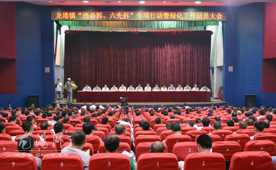 龙港拆违绿化双管齐下 强推现代化城市建设
