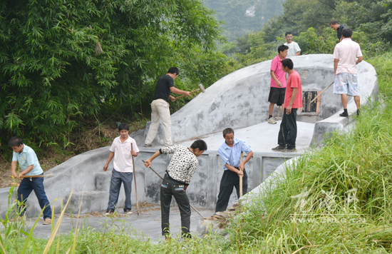 龙港镇积极打击青山白化现象
