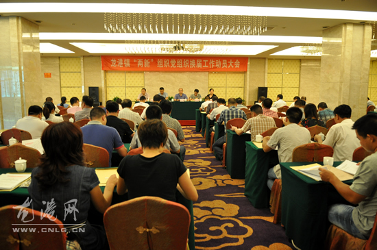 龙港镇召开“两新”组织党组织换届工作动员会