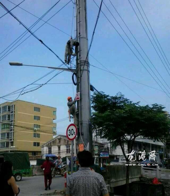 龙港电工高空作业中暑晕厥 安全带成为救命绳