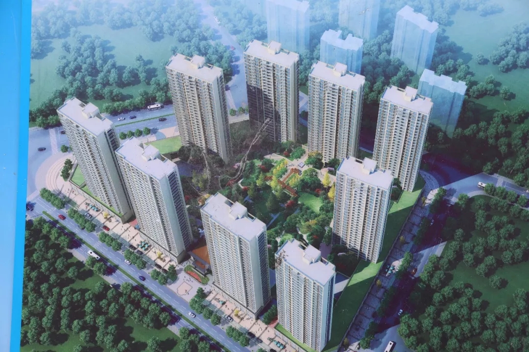 640 (1).webp (8).jpg