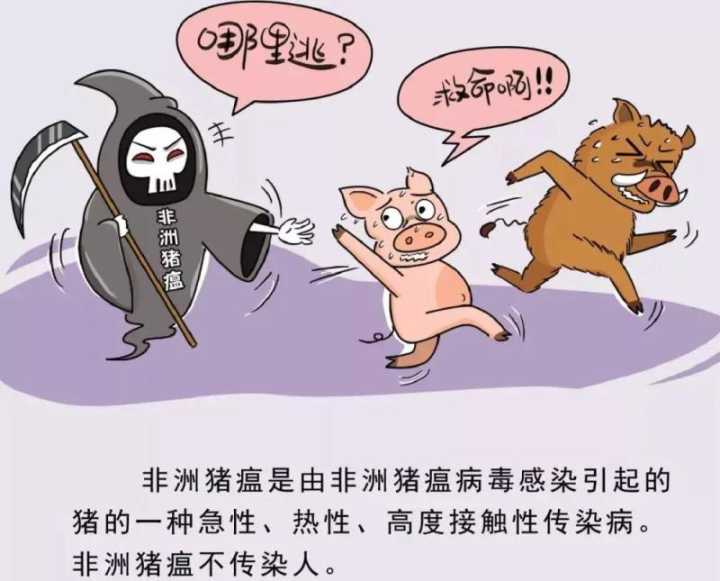 QQ图片20181121213334.jpg