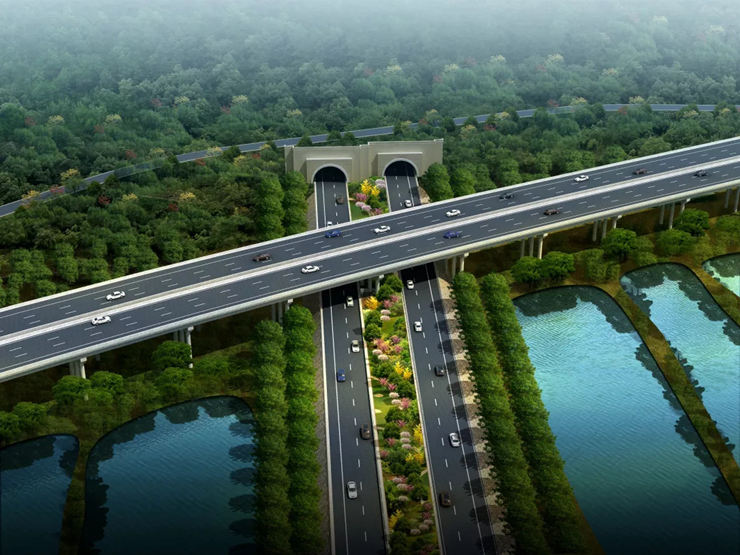 640 (1).webp (8).jpg