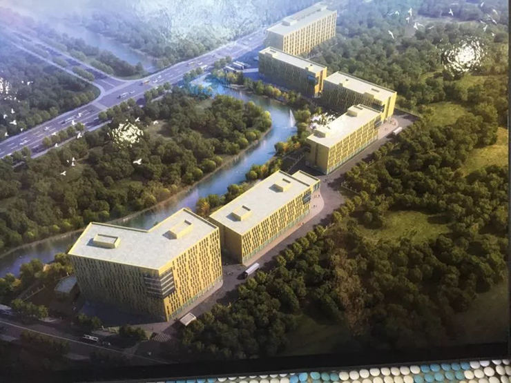 640 (1).webp (18).jpg