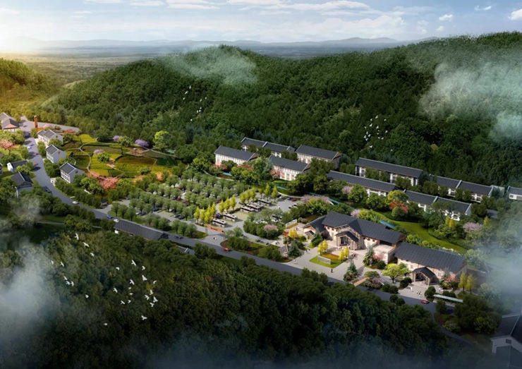 640 (1).webp (24).jpg