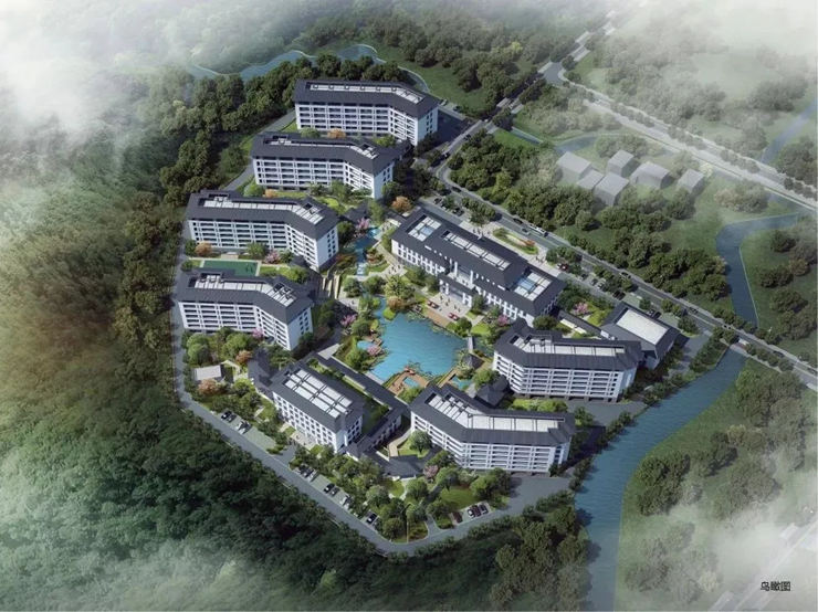 640 (1).webp (28).jpg