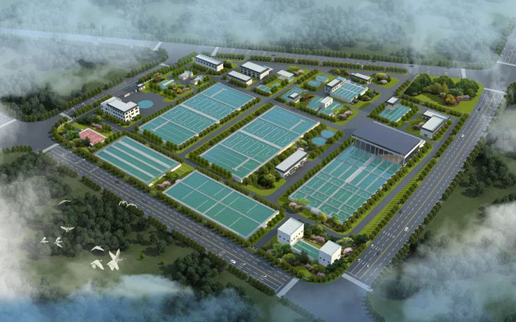 640 (1).webp (29).jpg