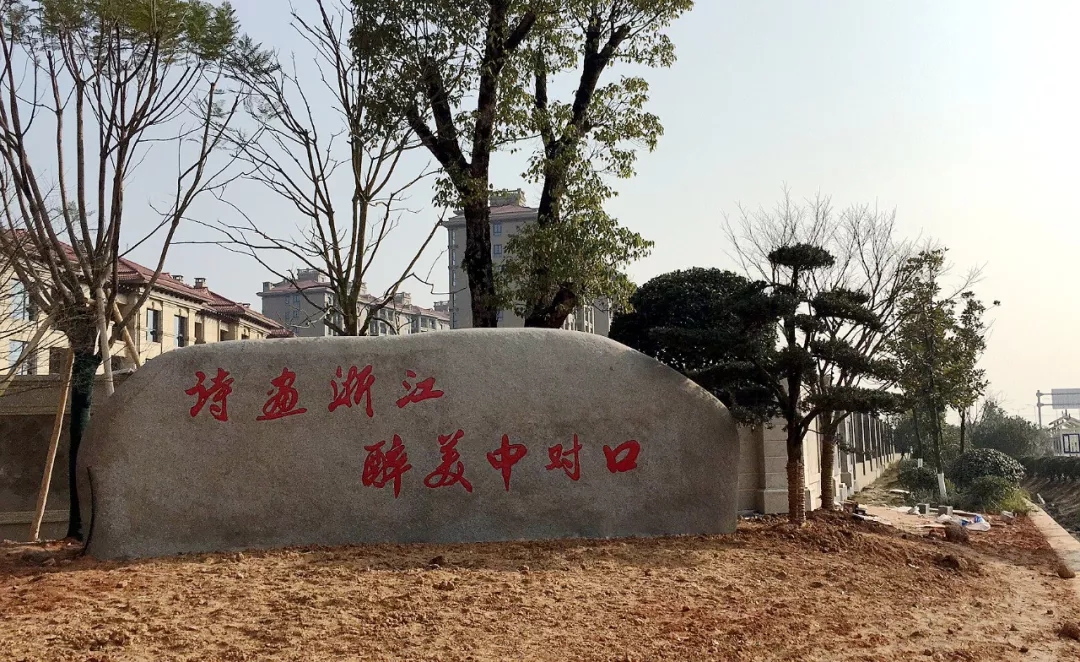 640 (1).webp (9).jpg