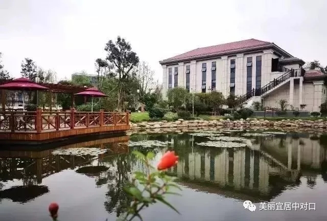 640 (1).webp (10).jpg