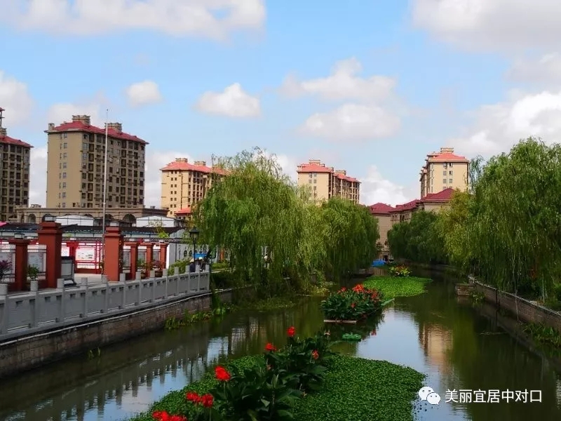 640 (1).webp (12).jpg