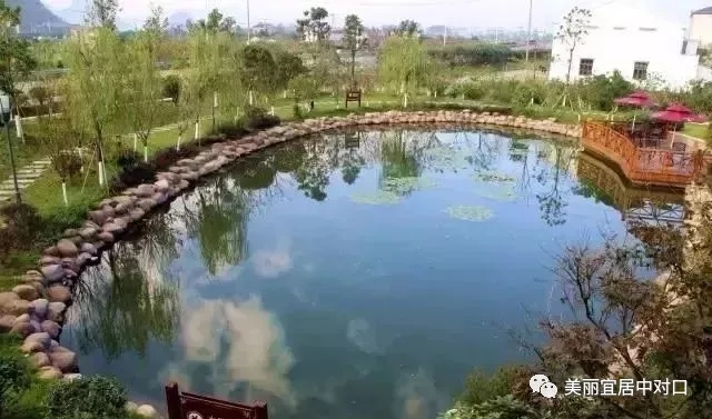 640 (1).webp (15).jpg