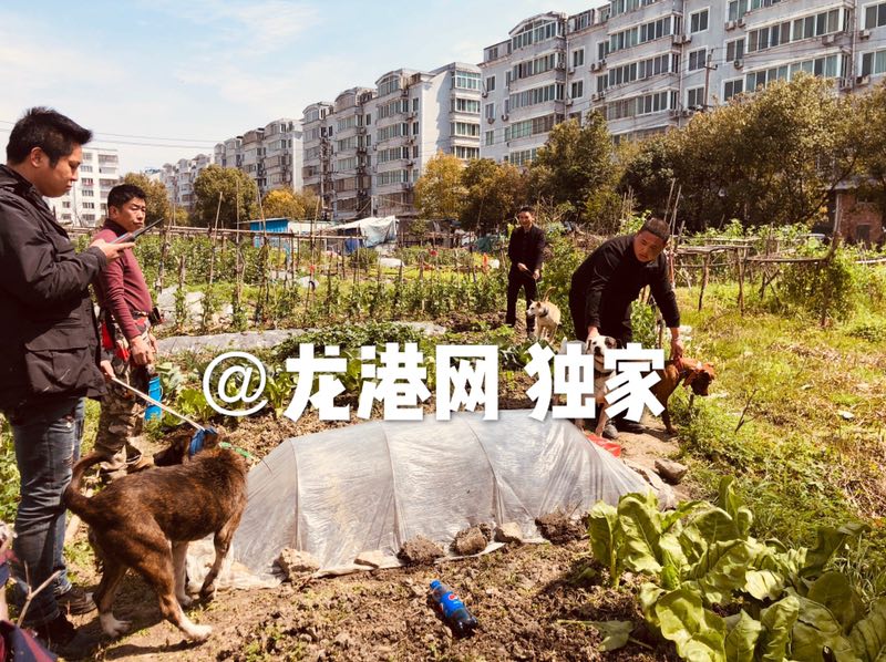 QQ图片20190316214020.jpg