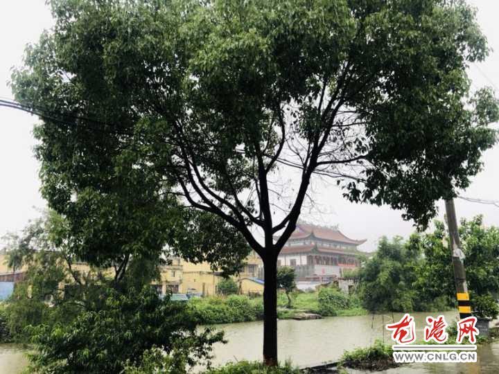 QQ图片20190602214216.jpg