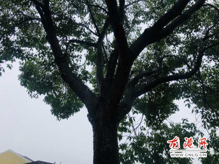 QQ图片20190602214238.jpg