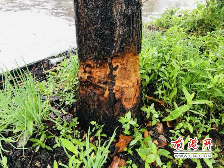 QQ图片20190602214242.jpg