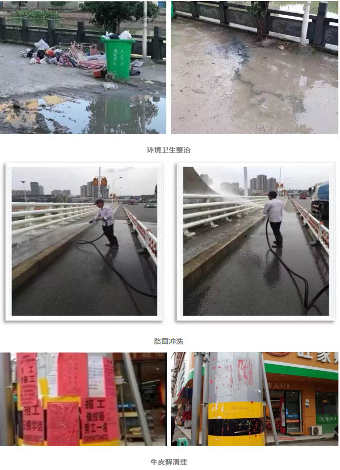 龙港网2.jpg