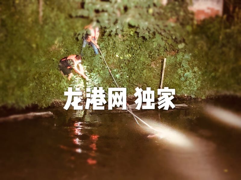 QQ图片20190724182624.jpg