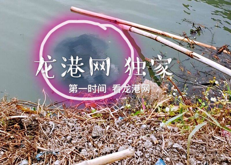 QQ图片20191121210627.jpg