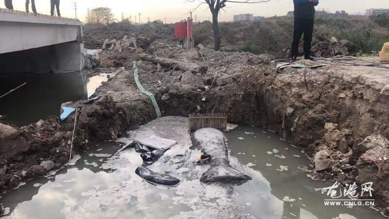 QQ图片20191129185311.jpg