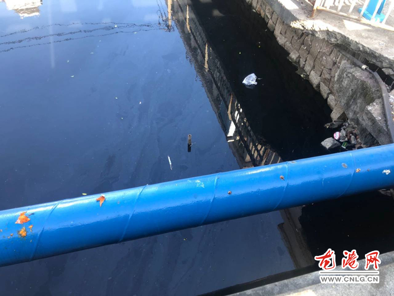 QQ图片20191213223142.jpg