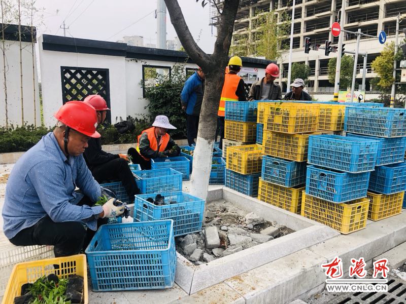 QQ图片20200121165707.jpg