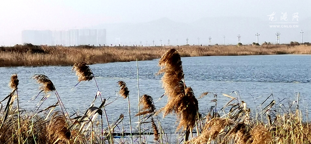QQ图片20200225022448.jpg