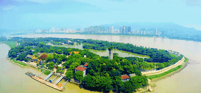 微信图片_20200318200936_副本.gif