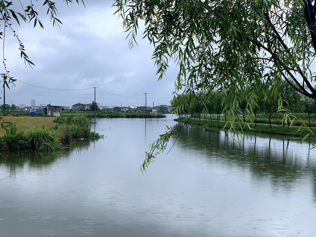 微信图片_20200526225743.jpg