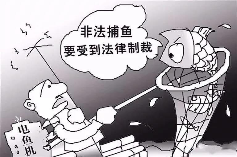 微信图片_20200623005747.jpg
