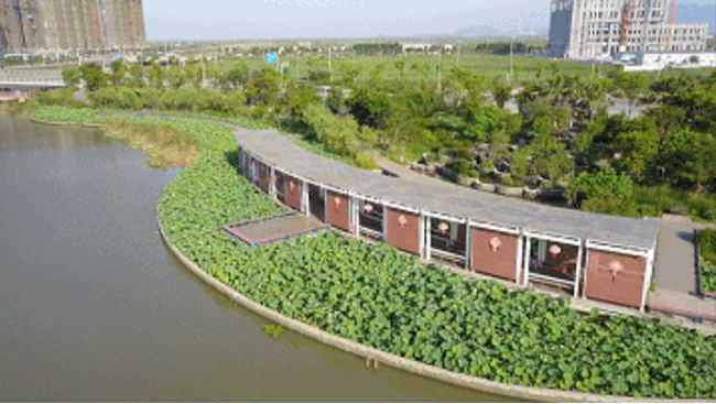 QQ图片20200701233647.jpg