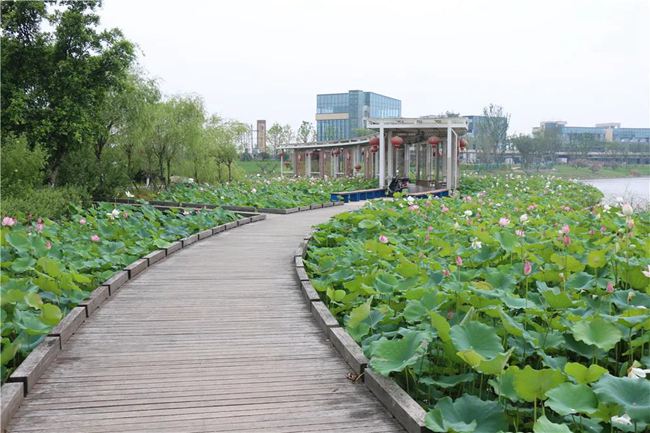 微信图片_20200701233720.jpg