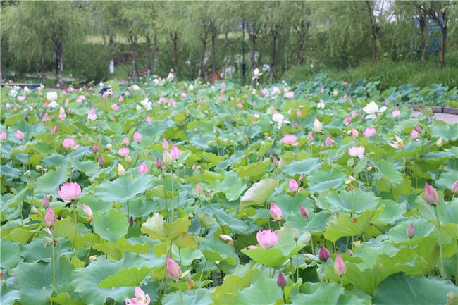 微信图片_20200701233715.jpg