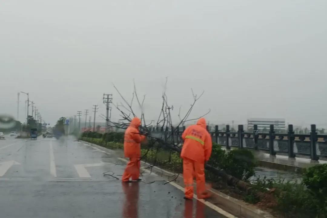 微信图片_20200804190529.jpg