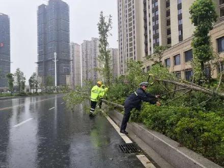 微信图片_20200805160751.jpg
