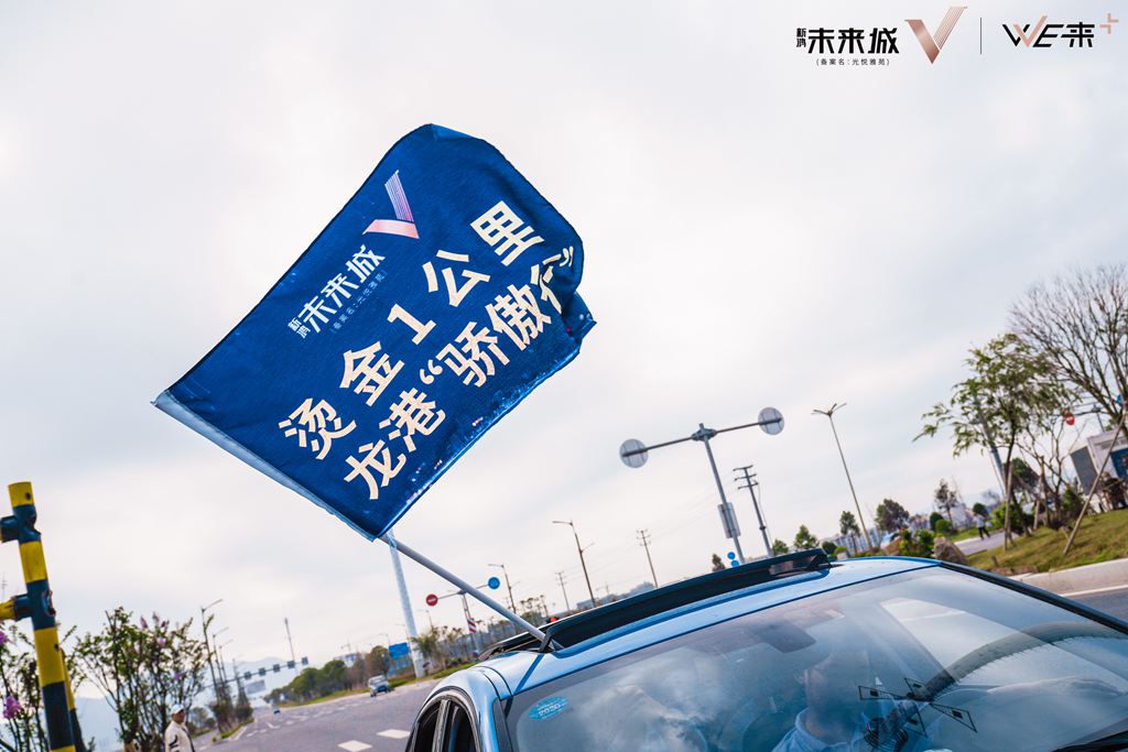 新鸿未来城