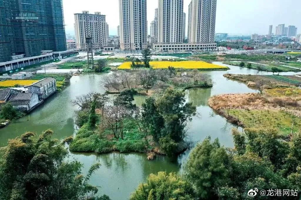 龙港城市公园二期建设 计划11月底开始实施