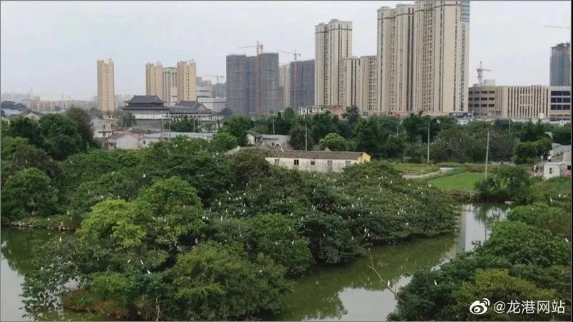 龙港城市公园二期建设 计划11月底开始实施
