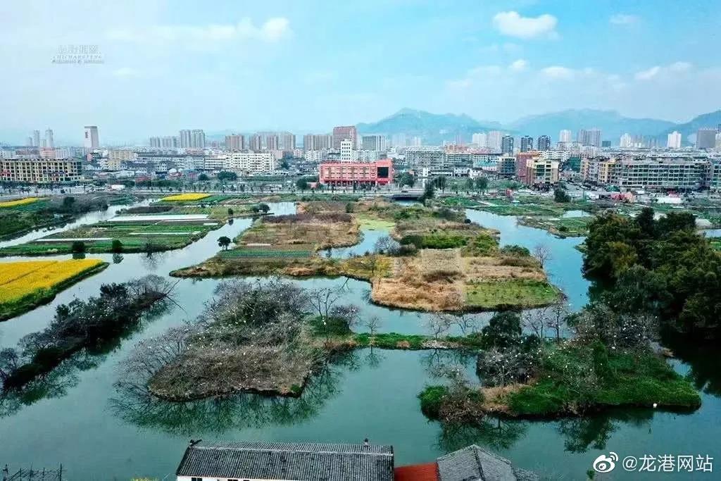 龙港城市公园二期建设 计划11月底开始实施