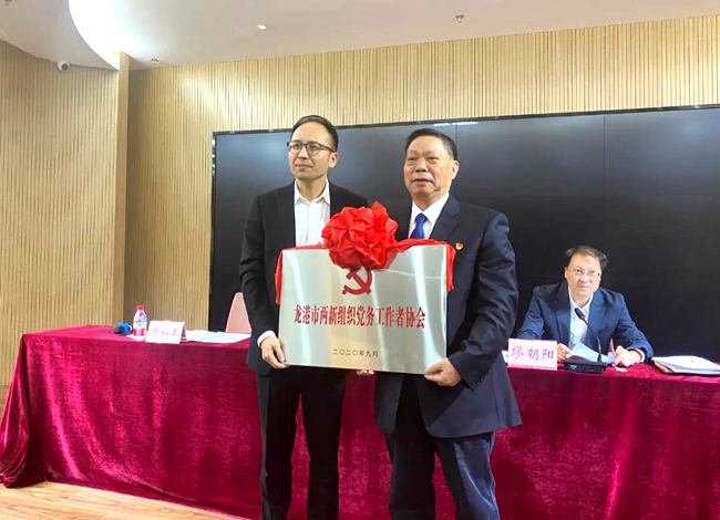 龙港市两新组织党务工作者协会成立